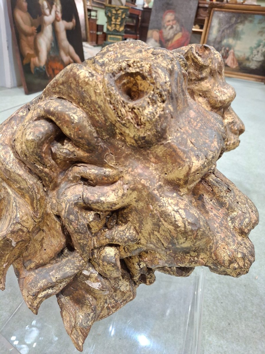 Coppia di teste leonine scolpite -photo-4