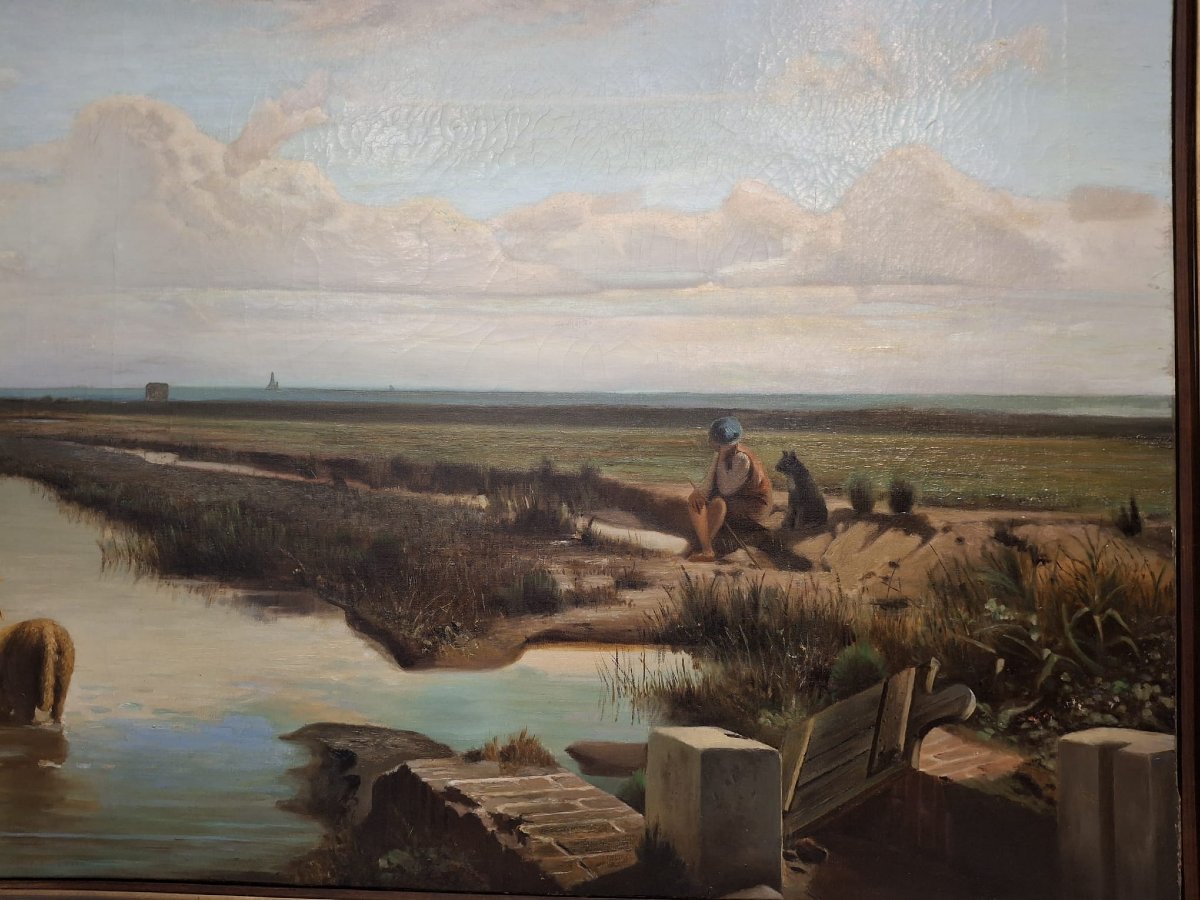 Saline di Cervia-photo-4