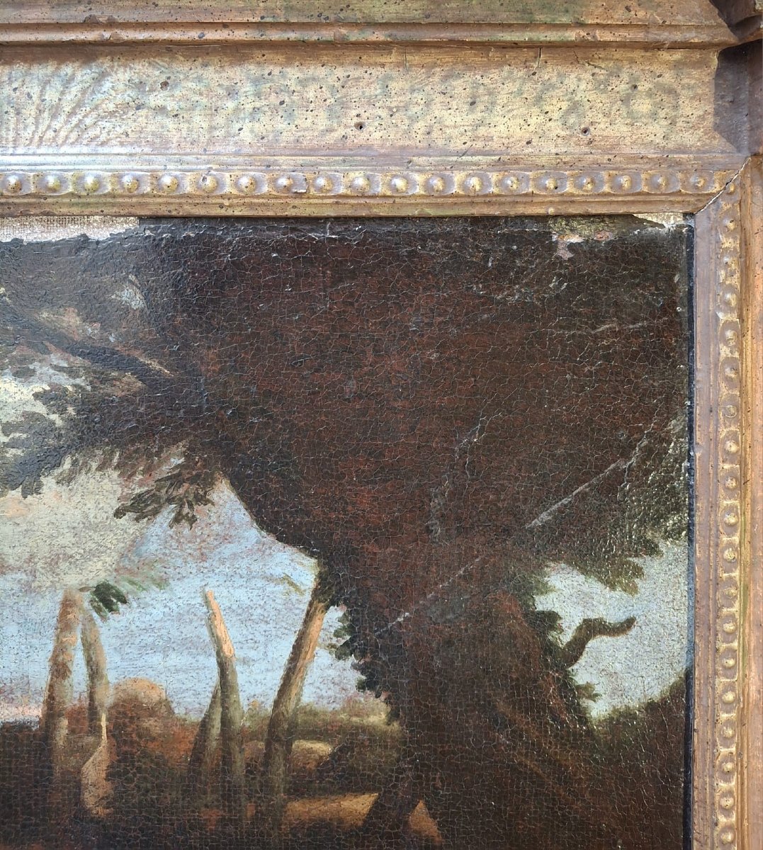 Ambito di Andrea Sacchi-photo-2