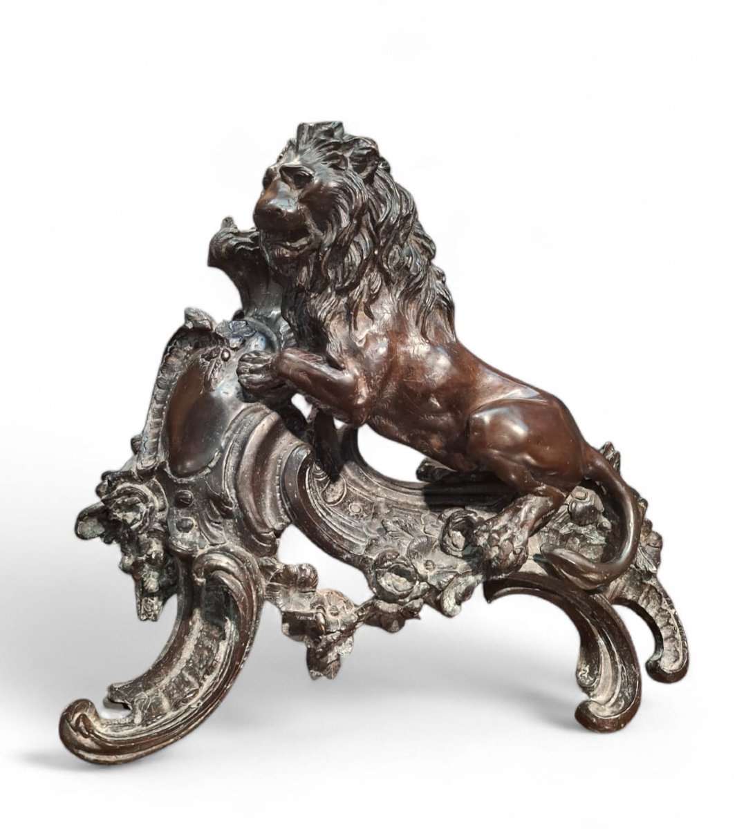 Coppia di leoni rampanti in bronzo-photo-2