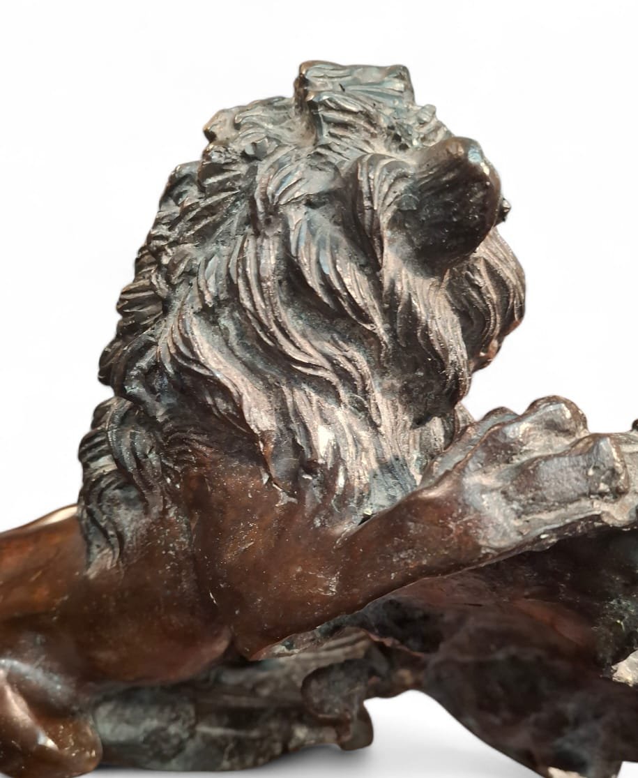 Coppia di leoni rampanti in bronzo-photo-5