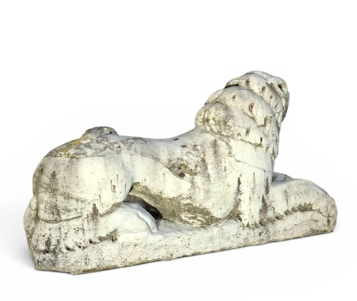 Coppia di leoni accovacciati-photo-3