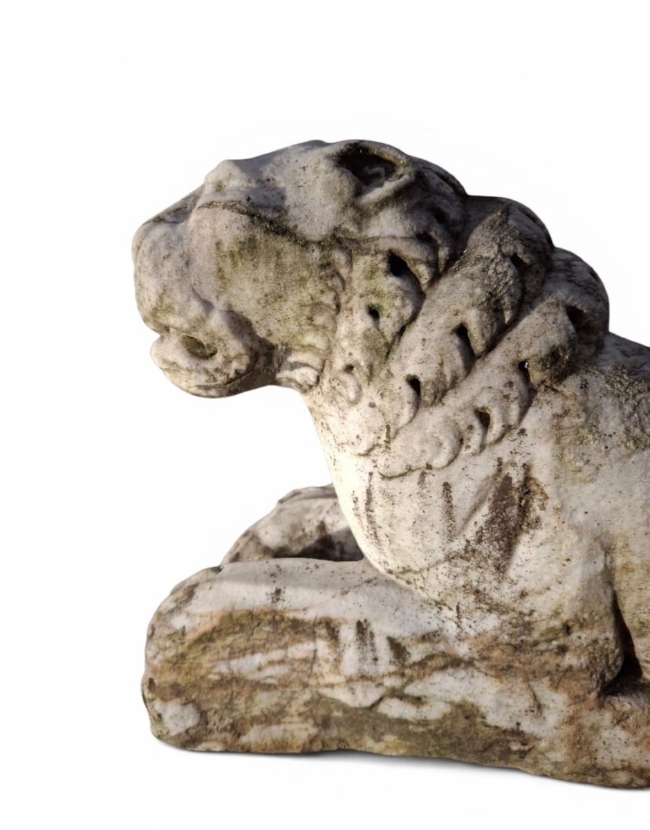 Coppia di leoni accovacciati-photo-3