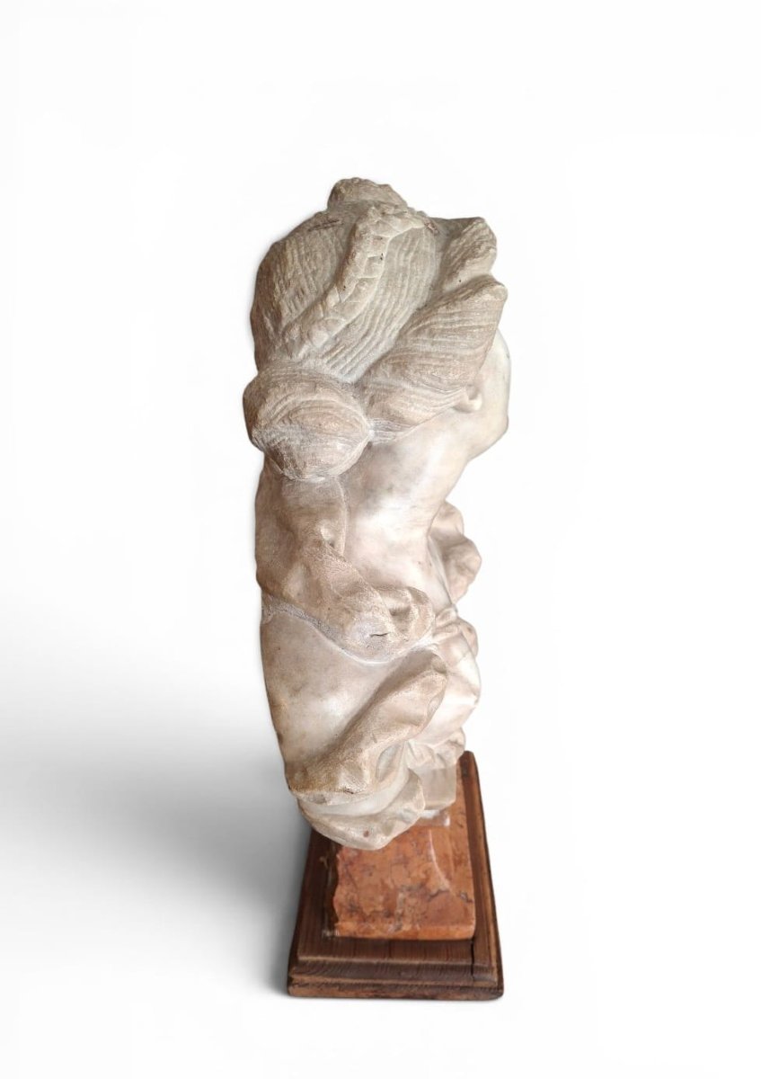 Busto raffigurante figura femminile-photo-1