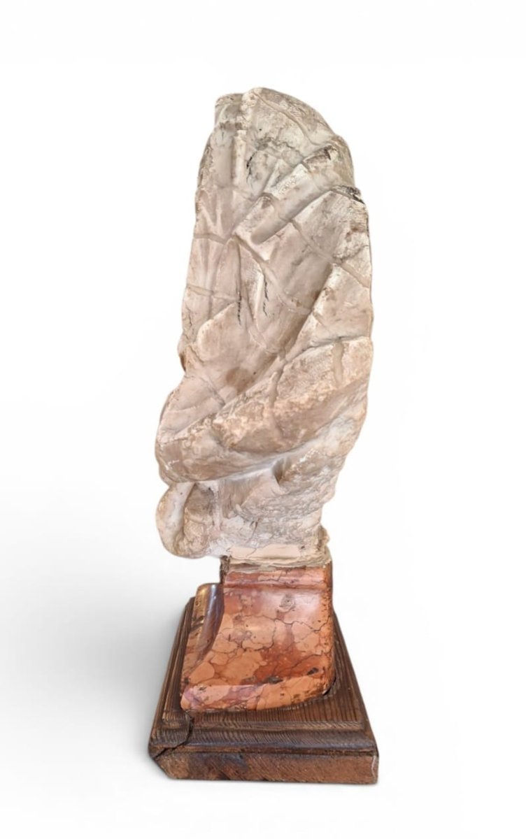 Busto raffigurante Eraclito-photo-2