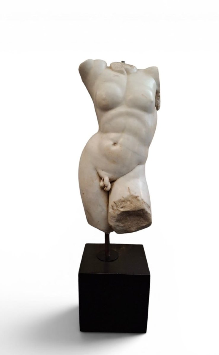 Torso virile in marmo bianco-photo-1