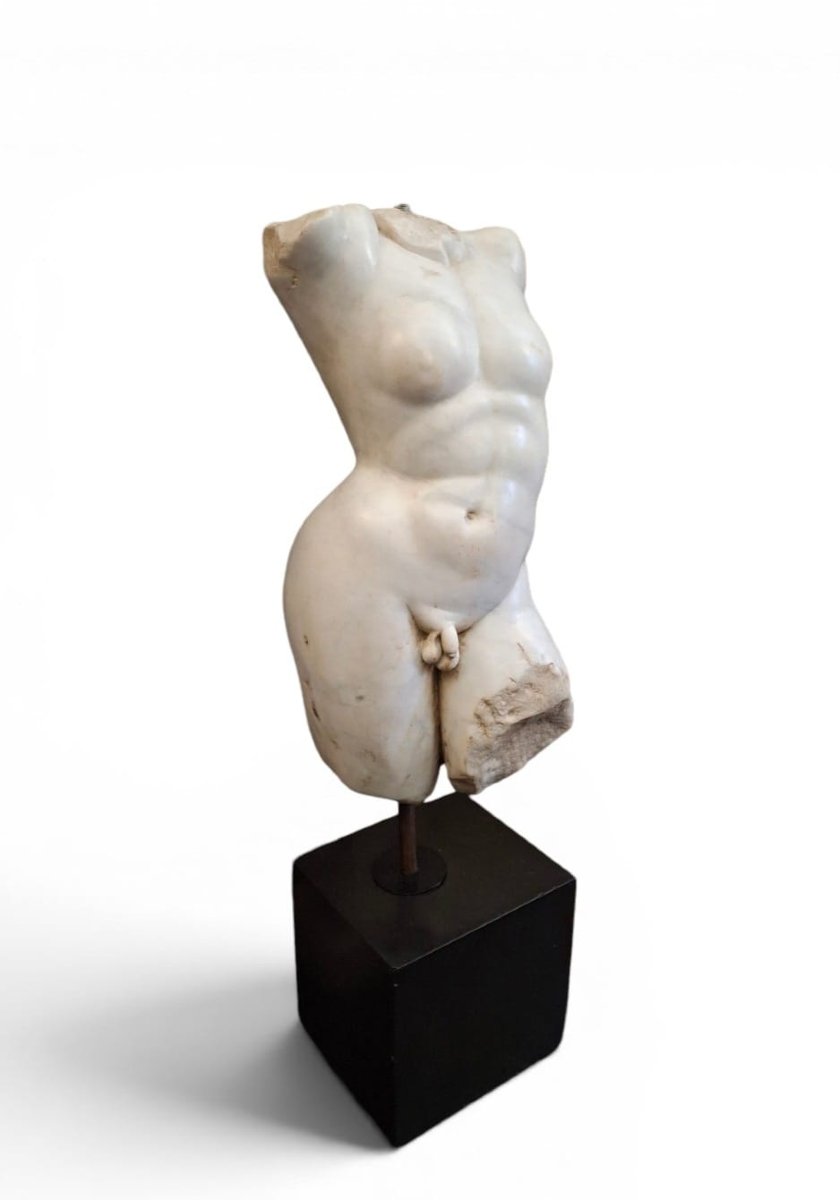 Torso virile in marmo bianco