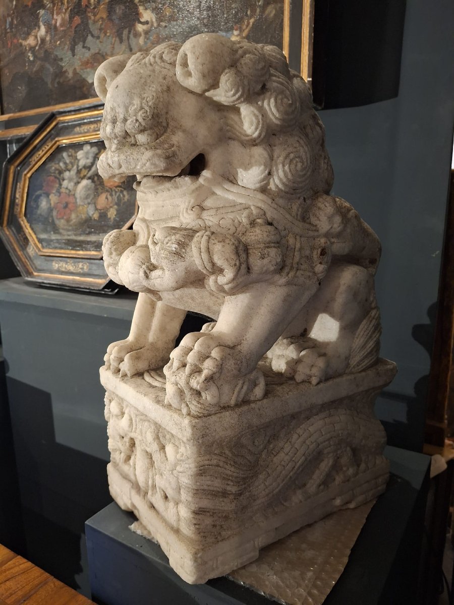 Cane di Fo, scultura cinese-photo-4