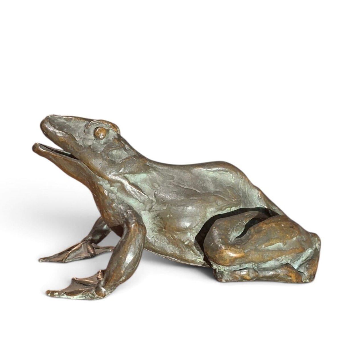 Rana in bronzo-photo-2