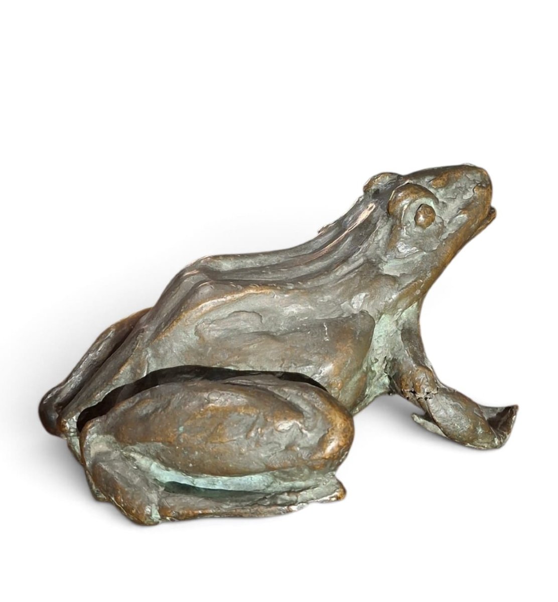 Rana in bronzo