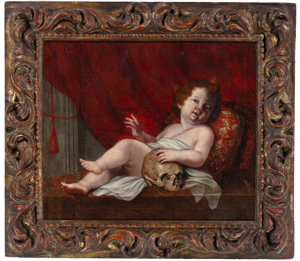 Putto con Vanitas