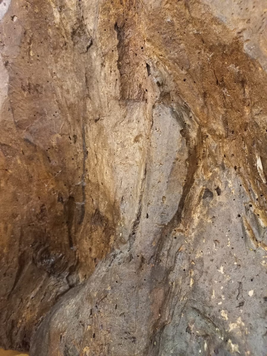 San Girolamo penitente, altorilievo in legno laccato-photo-5