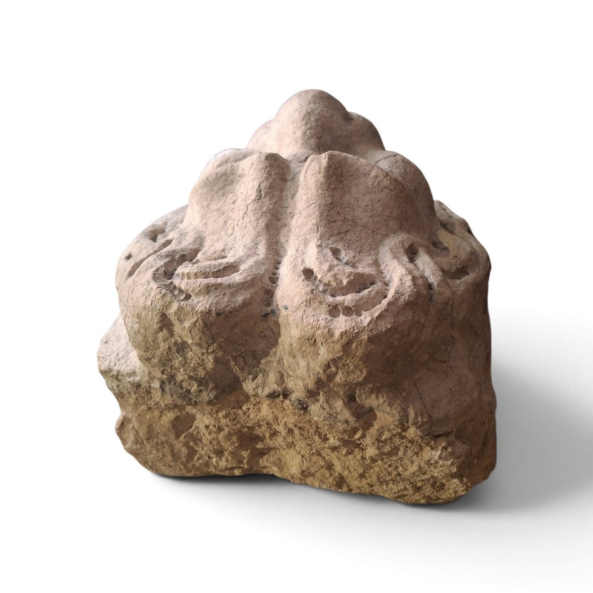 Mascherone da fontana con faccia di leone-photo-4