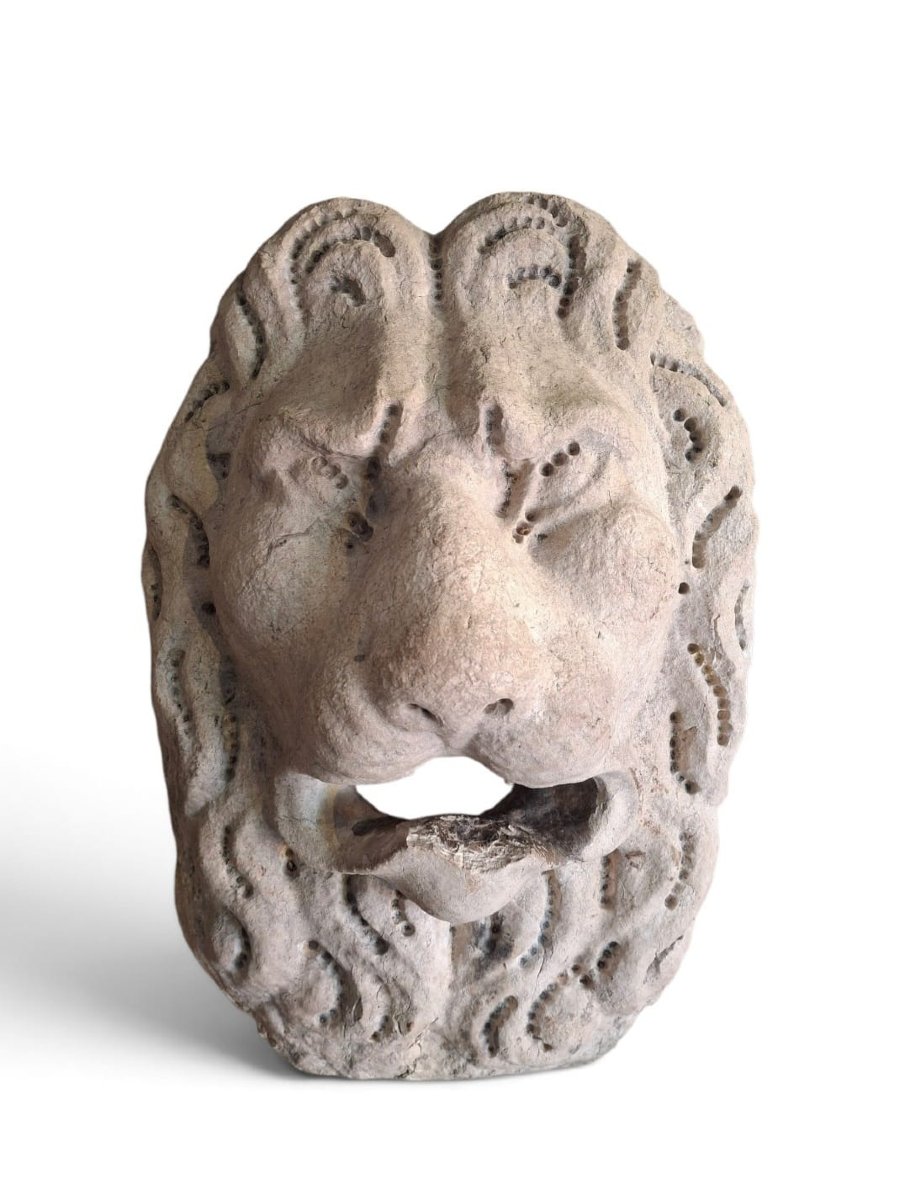 Mascherone da fontana con faccia di leone