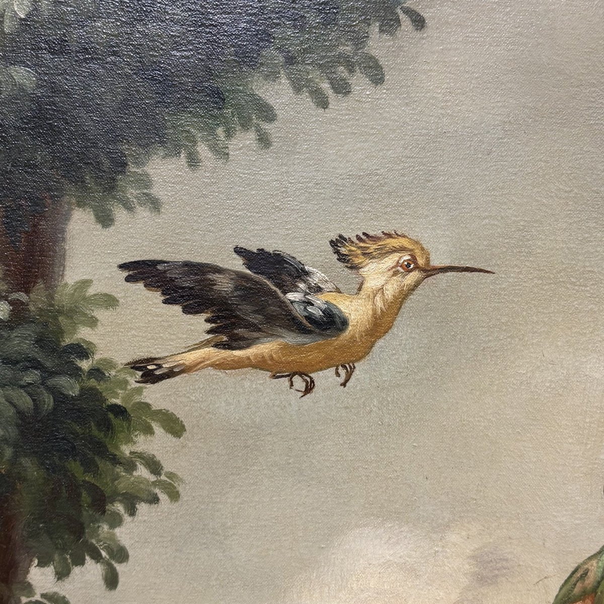 Antico Dipinto Naturalistico XIX secolo-photo-4