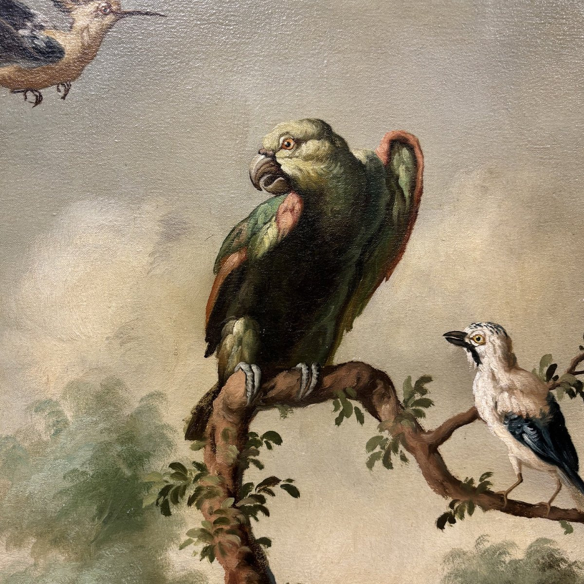 Antico Dipinto Naturalistico XIX secolo-photo-1