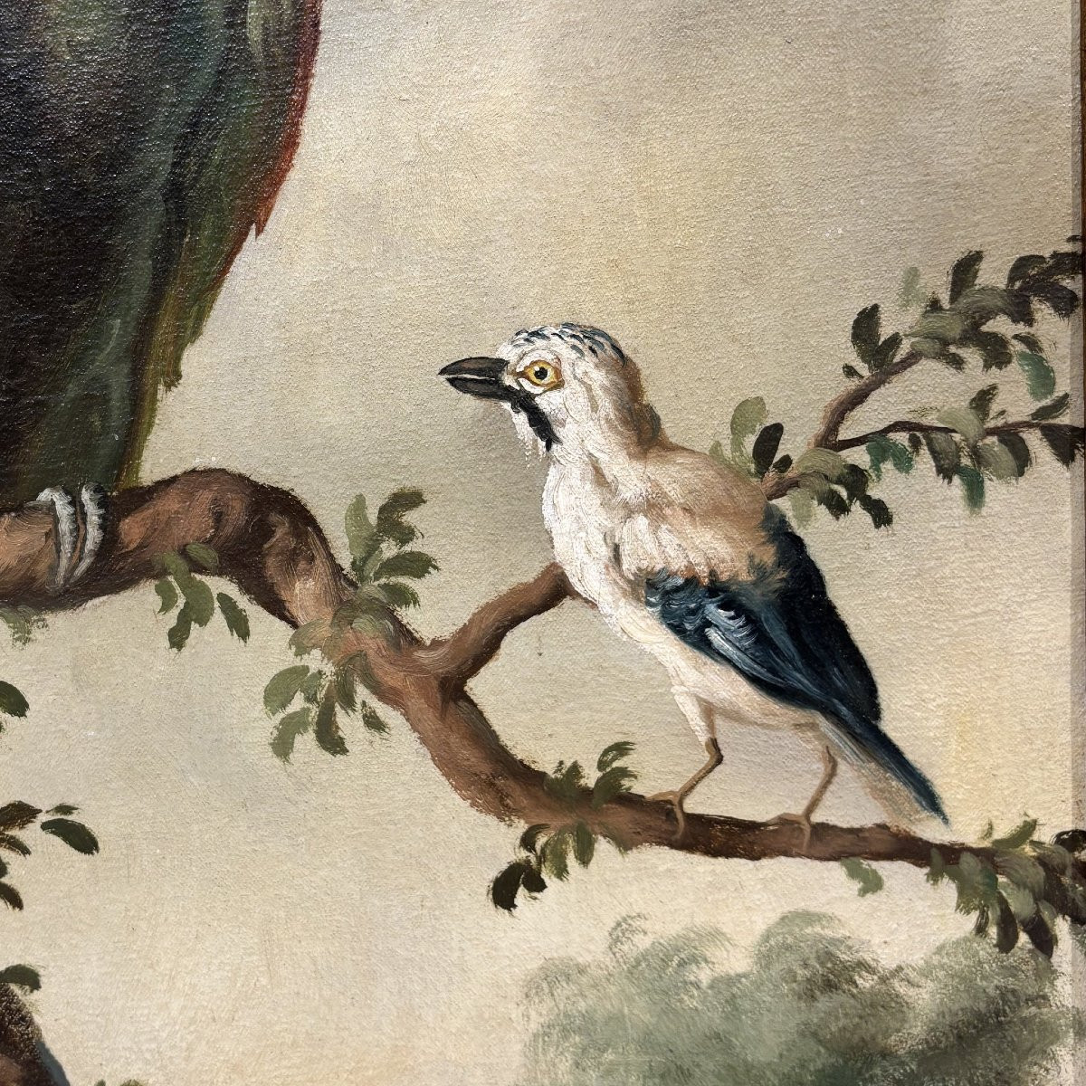 Antico Dipinto Naturalistico XIX secolo-photo-4