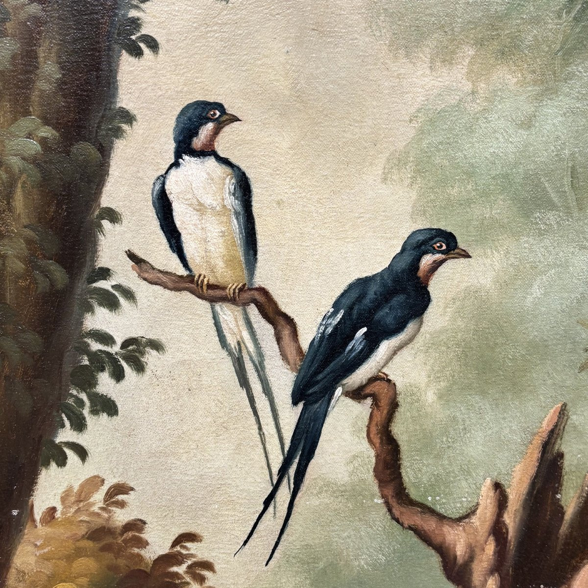 Antico Dipinto Naturalistico XIX secolo-photo-5