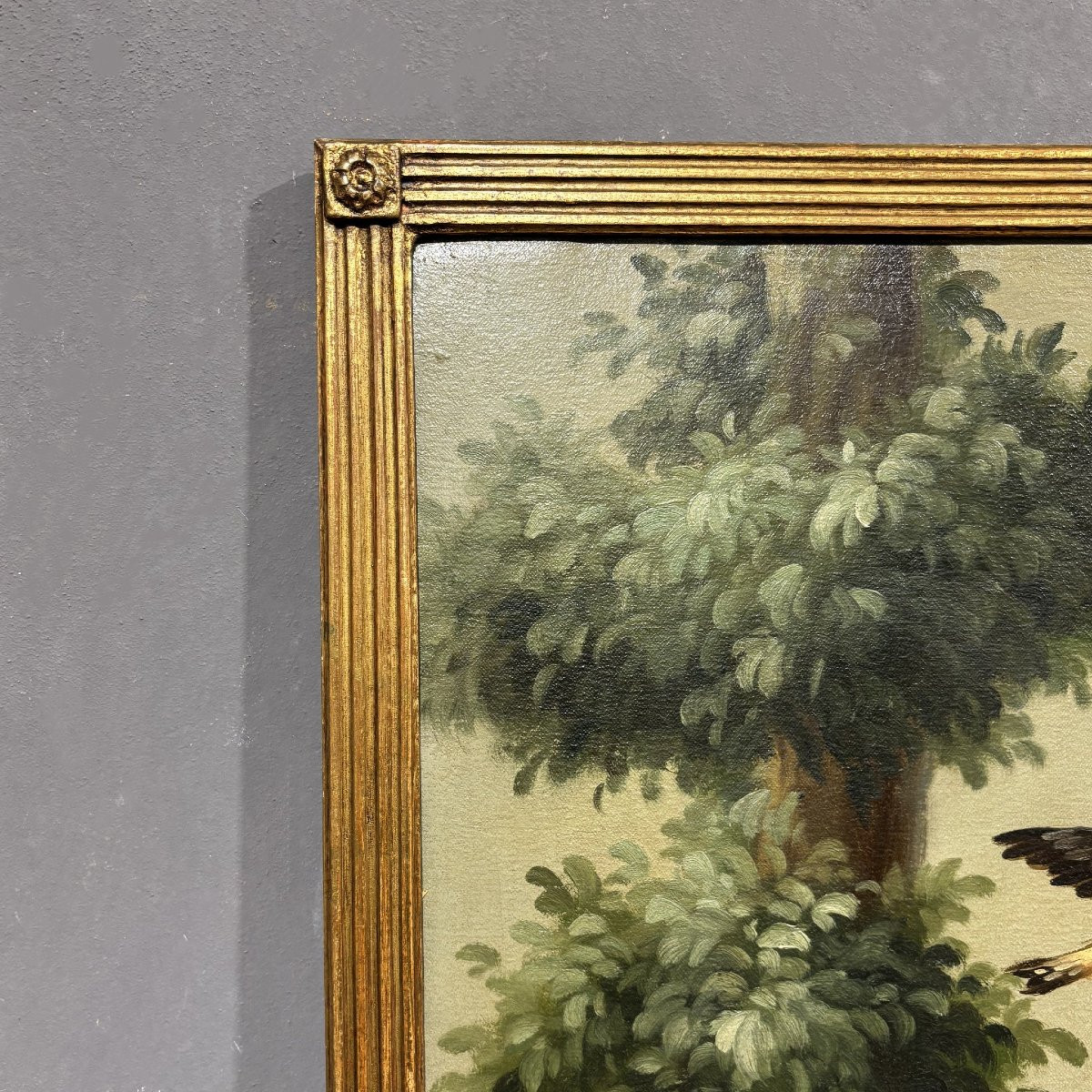 Antico Dipinto Naturalistico XIX secolo-photo-6