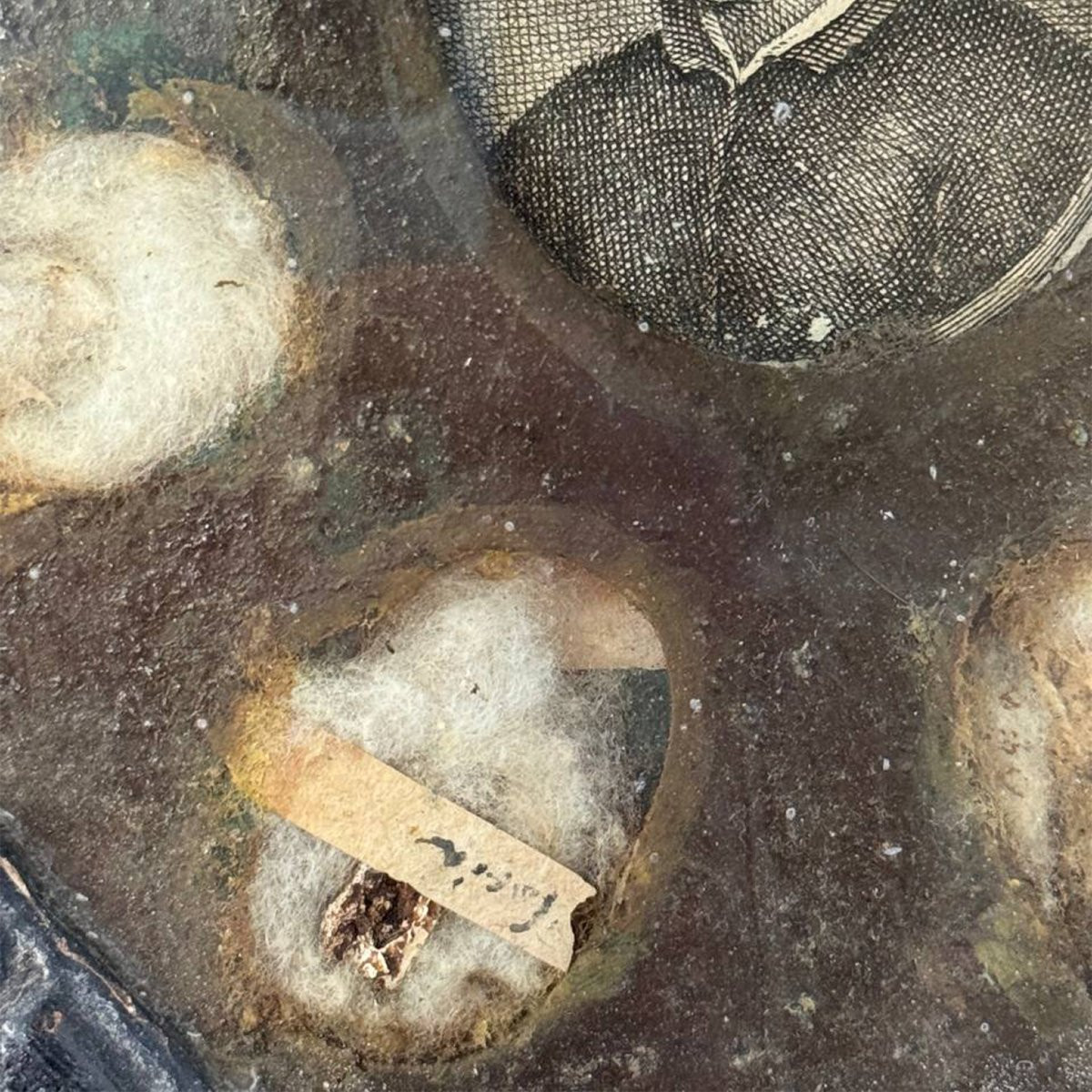 Reliquiario ottagonale con reliquie e San Francesco Borgia, XVII–XVIII secolo-photo-7