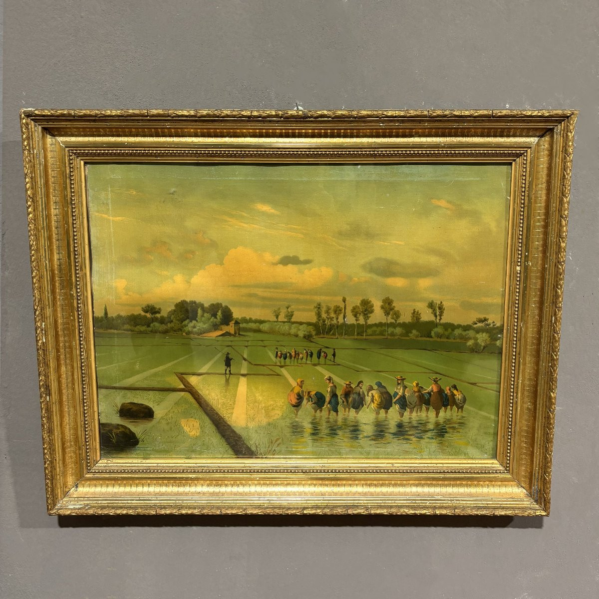 Set di quattro Litografie a colori del XIX secolo in cornici a foglia oro-photo-4