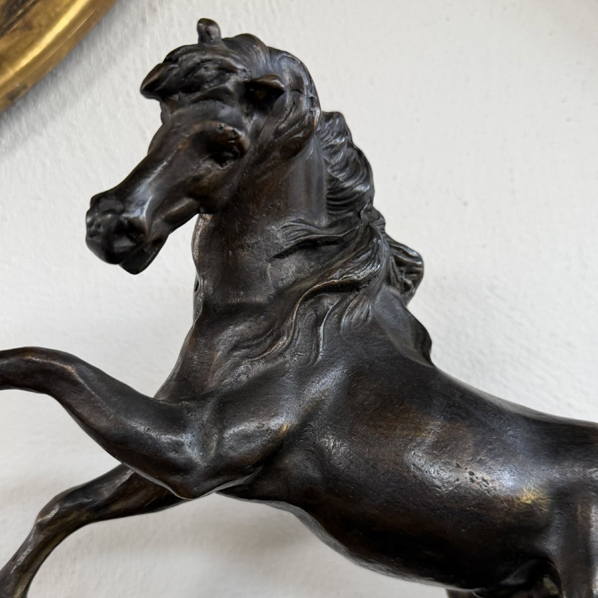 Antica scultura in bronzo Cavallo rampante fine XIX secolo -photo-6