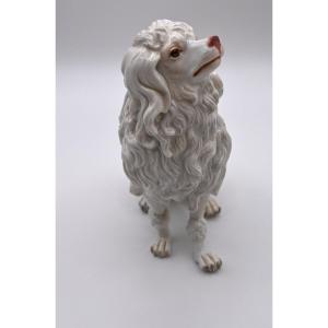 White Royal Poodle, Meissen, 19th Century