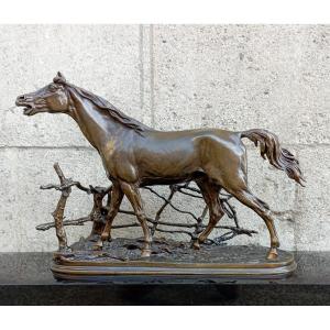 '' Djinn Arabian Stallion '' Bronze Sculpture By Pierre-jules Mène