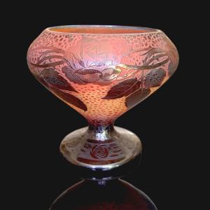 Paul Nicolas's Rose Cup