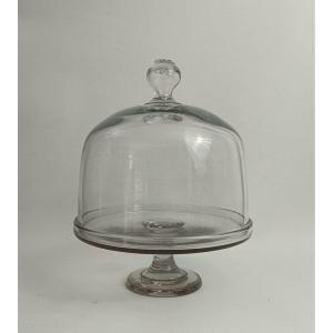 19th Century Mounted Tray And Glass Dome