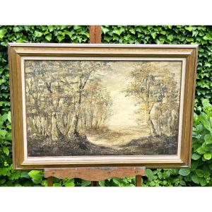 Important Undergrowth Landscape, Oil On Canvas By C. Hofman