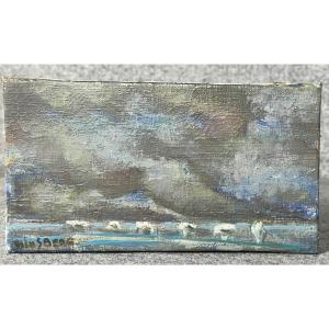 Jacques Winsberg Blue Camargue, The Stakes Around 1960/70