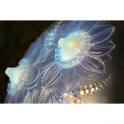 Sabino Cup "anemones" Art Deco Era