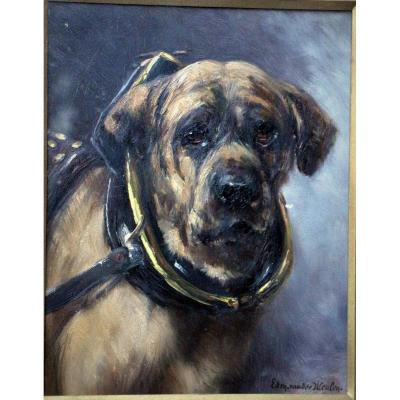 Edmond Van Der Meulen Dog Portrait