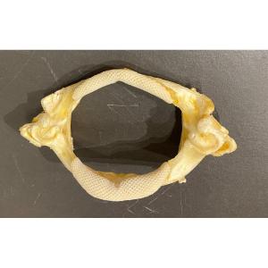 Rhina Ray Jaw