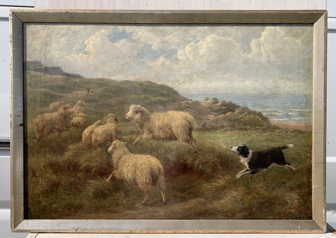 Charles H. Branscombe (British, 1858 - 1924) - Pecore al pascolo e cane Border Collie.-photo-2