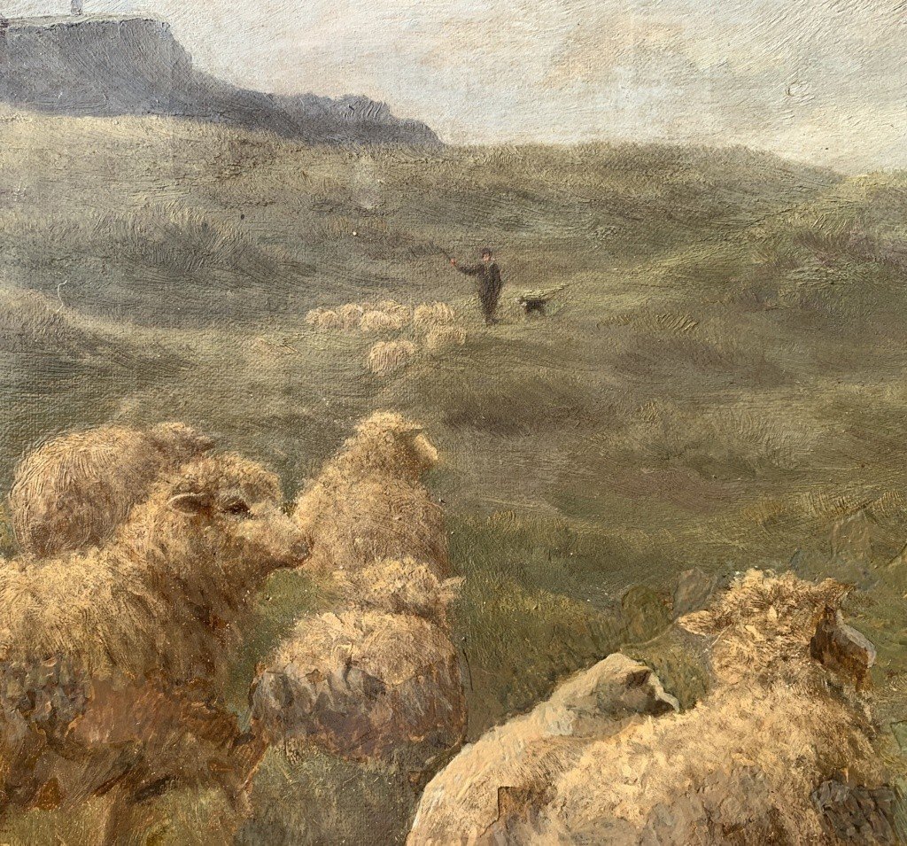 Charles H. Branscombe (British, 1858 - 1924) - Pecore al pascolo e cane Border Collie.-photo-3