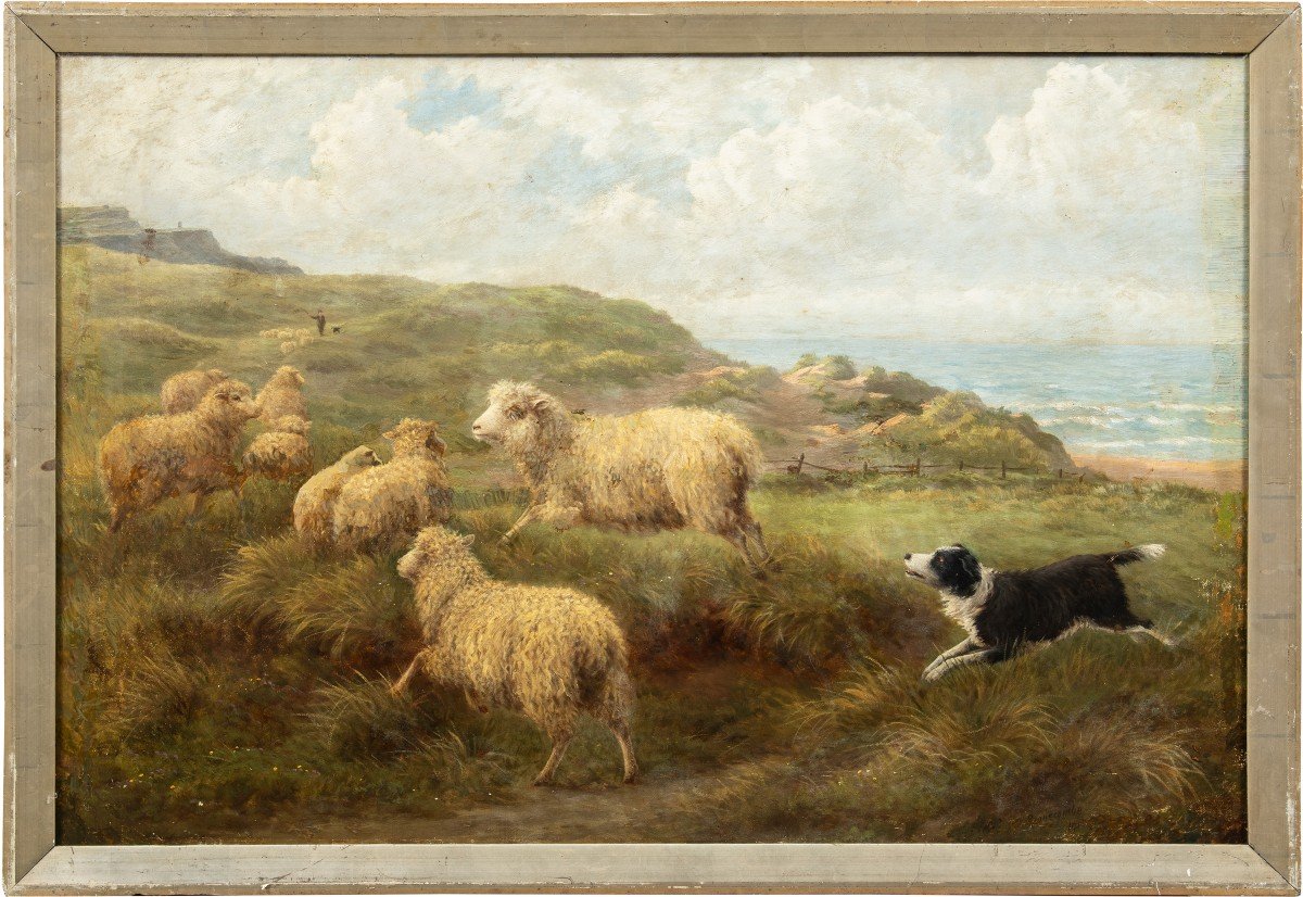 Charles H. Branscombe (British, 1858 - 1924) - Pecore al pascolo e cane Border Collie.