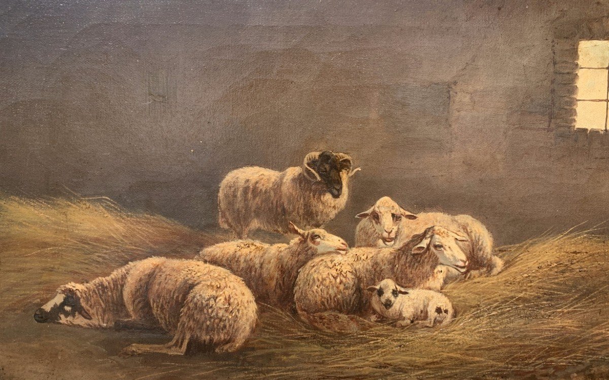 Pittore italiano (XIX sec.) - Pecore nella stalla.-photo-3