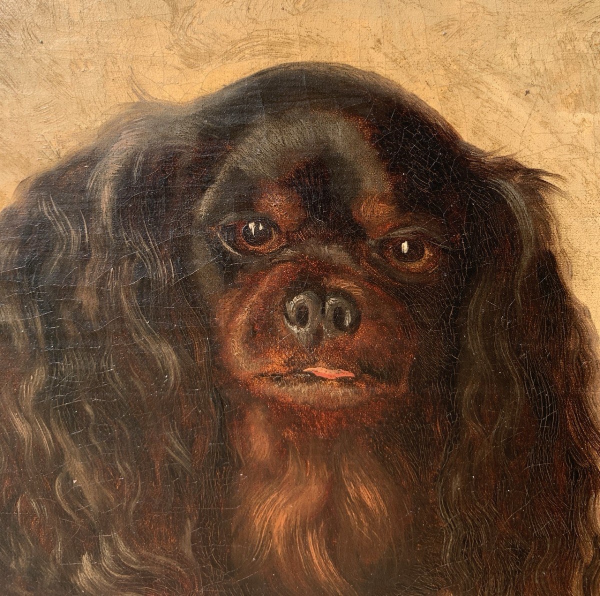 Pittore inglese (XIX sec.) - King Charles Cavalier Spaniel dog.-photo-2