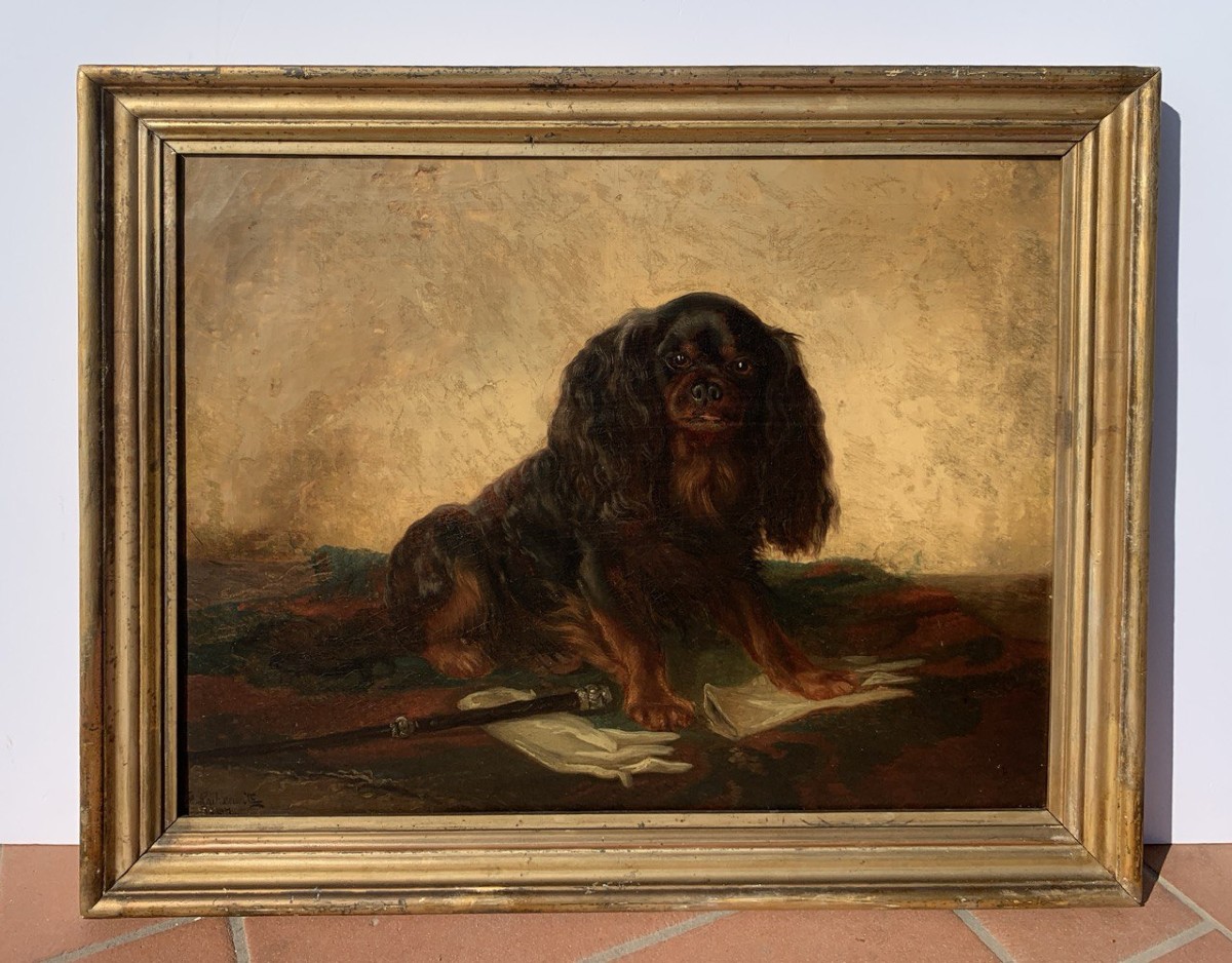 Pittore inglese (XIX sec.) - King Charles Cavalier Spaniel dog.-photo-1