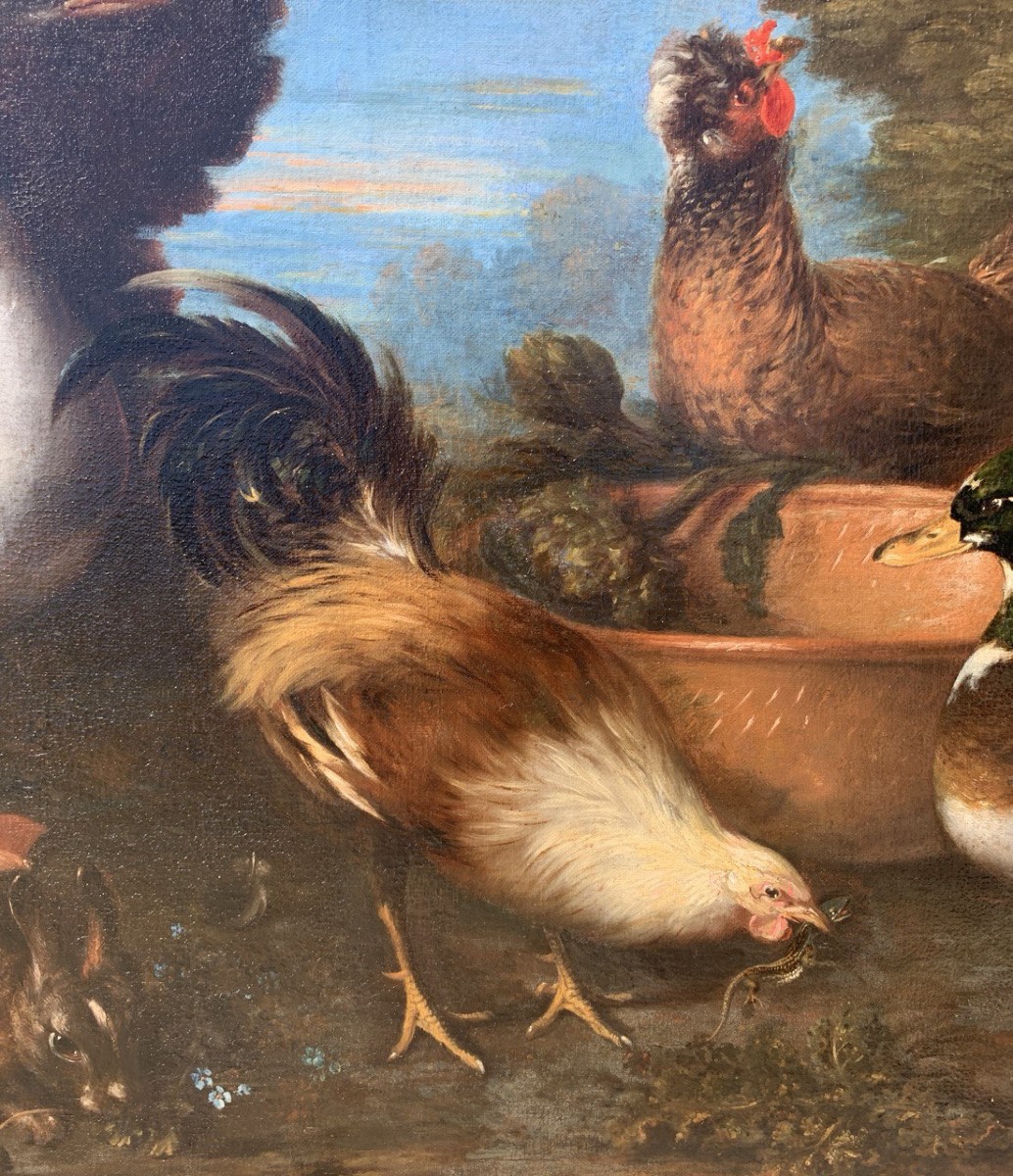 Maestro fiammingo (XVII sec.) - Natura viva con tacchino, anatre, gallo e coniglio.-photo-3