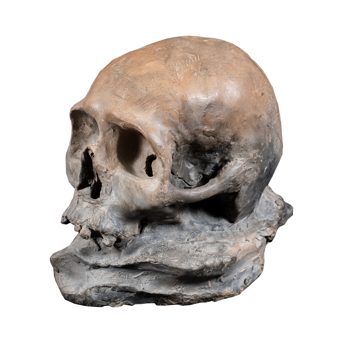 Scultura in terracotta - Memento mori. Italia, XVIII-XIX secolo.-photo-2