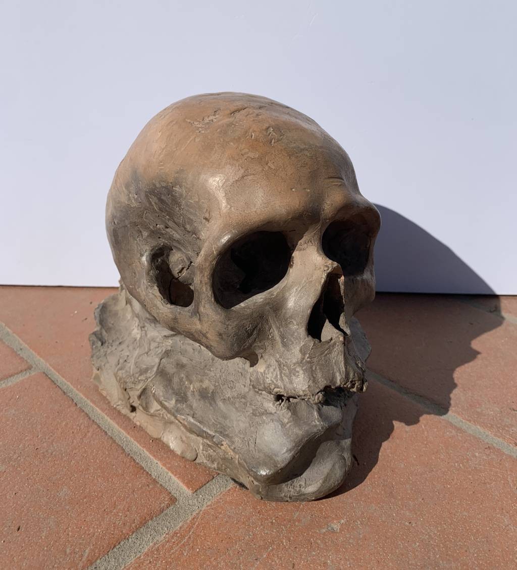 Scultura in terracotta - Memento mori. Italia, XVIII-XIX secolo.-photo-3
