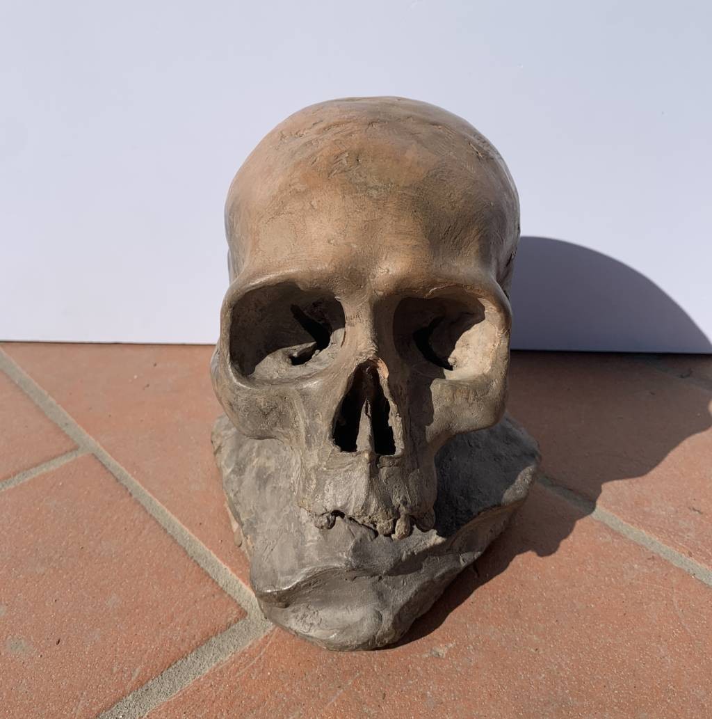 Scultura in terracotta - Memento mori. Italia, XVIII-XIX secolo.-photo-4