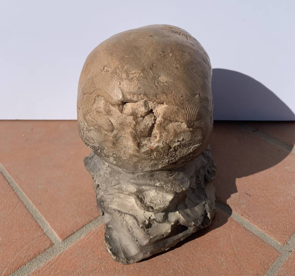 Scultura in terracotta - Memento mori. Italia, XVIII-XIX secolo.-photo-1