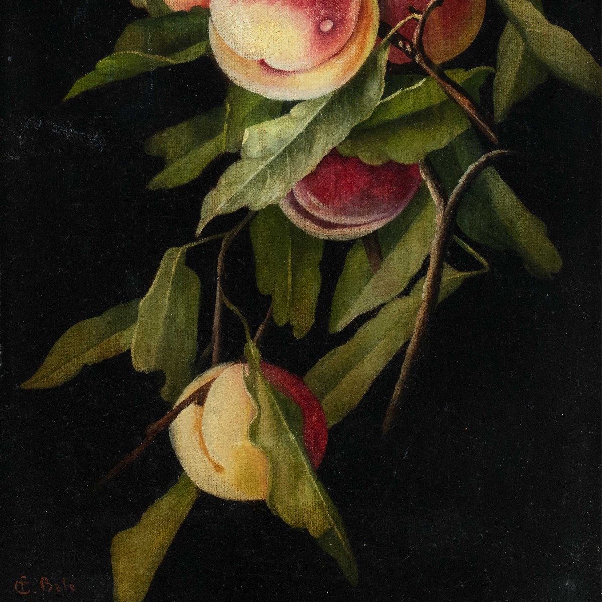 Charles Thomas Bale (British, 1866 - 1895) - Natura morta di pesche.-photo-2