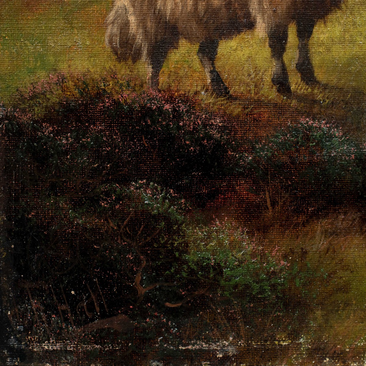 Henry Robinson Hall (York 1859 - Barrow-in-Furness 1927) - Famiglia di ovini nelle Highlands.-photo-3