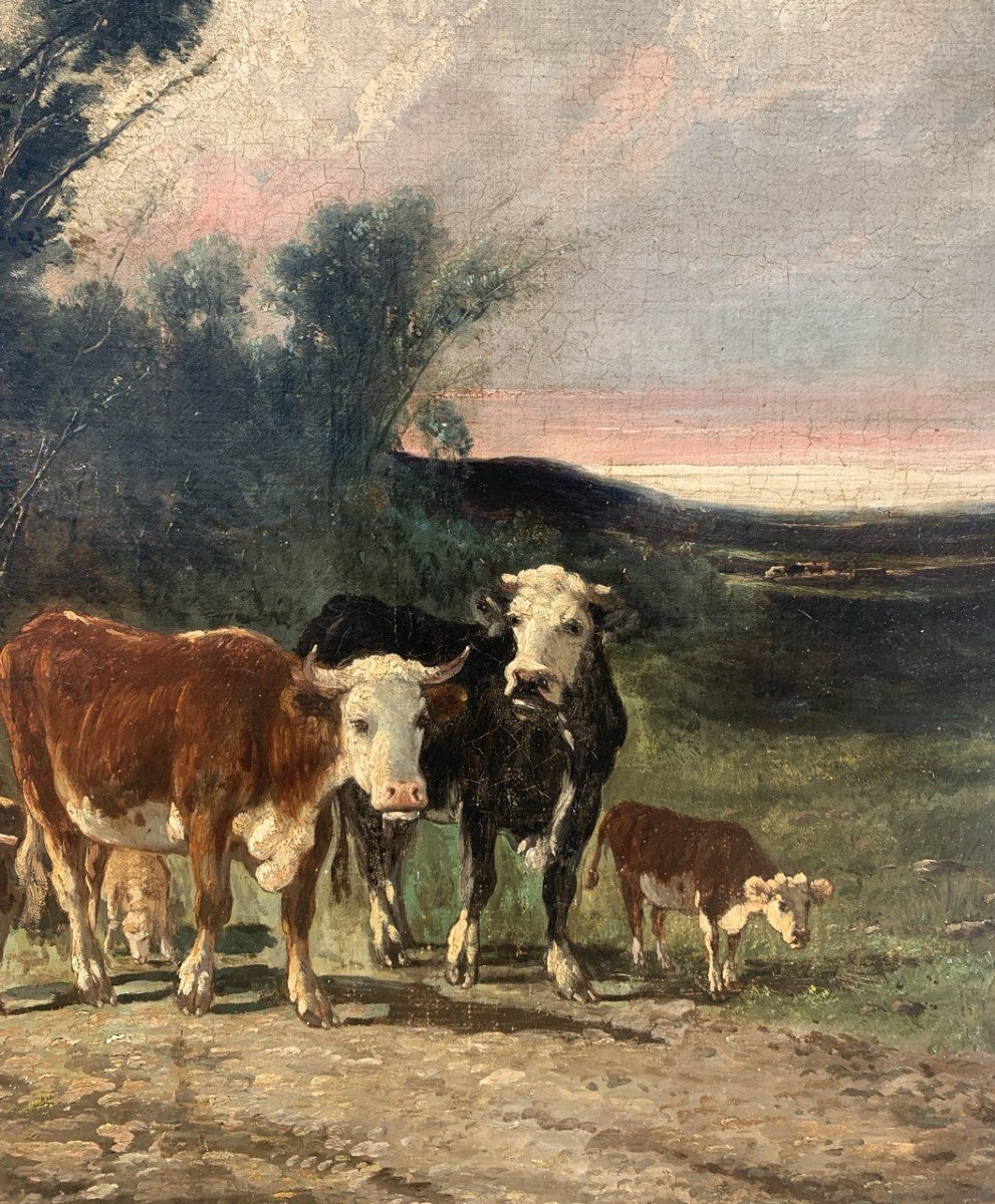 Pittore europeo (XIX secolo) - Paesaggio con bovini e gregge al tramonto.-photo-1