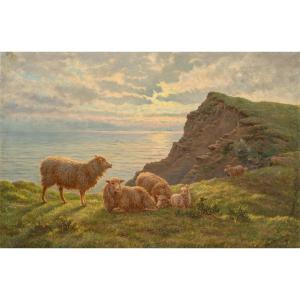Charles H. Branscombe (British, 1858 - 1924) - Pecore al pascolo al mattino.